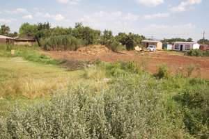 New Land - Photo #2
