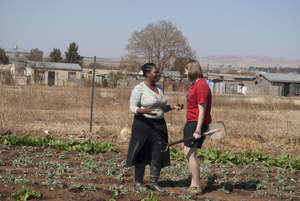 Working in the vegetable garden