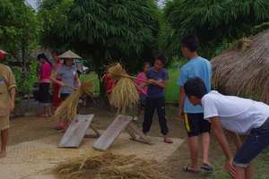 Thrashing Rice at Living Land Farm