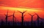 Renewable Energy Community Entrepreneurship