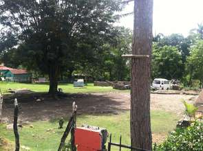 Their backyard