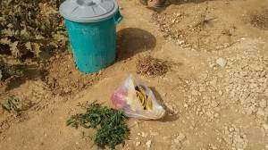 Composting in the camp2
