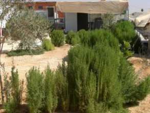 Mr. Taral's own garden
