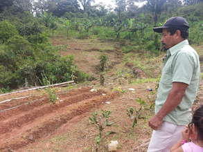 Soil conservation with community and local NGO.