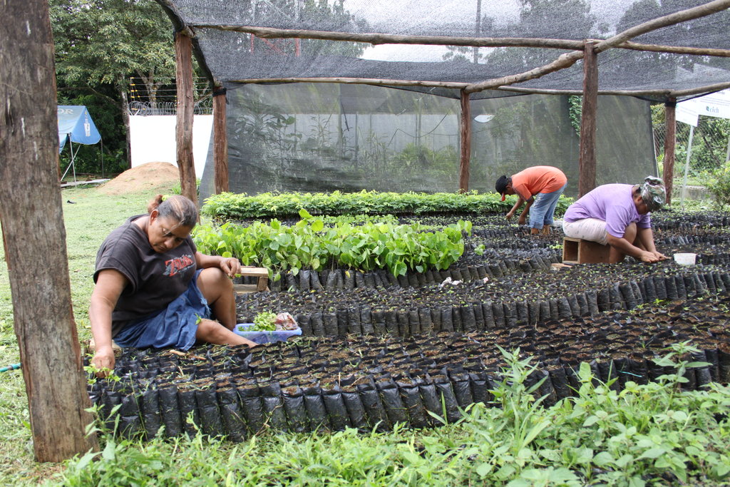Climate change adaptation-Panama rural livelihoods