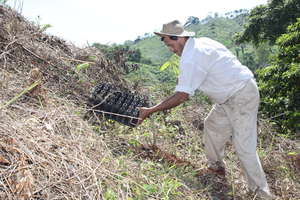 F.NATURA. Reforestation