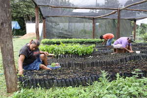 F.NATURA  Communitary nurseries