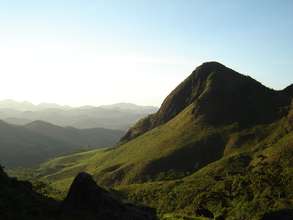 Pico da Graminha Forest Reserve