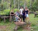 Plant 1000 seedlings in the Brazilian rainforest
