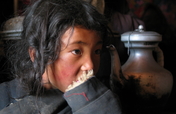Tibet: the Gift of Education