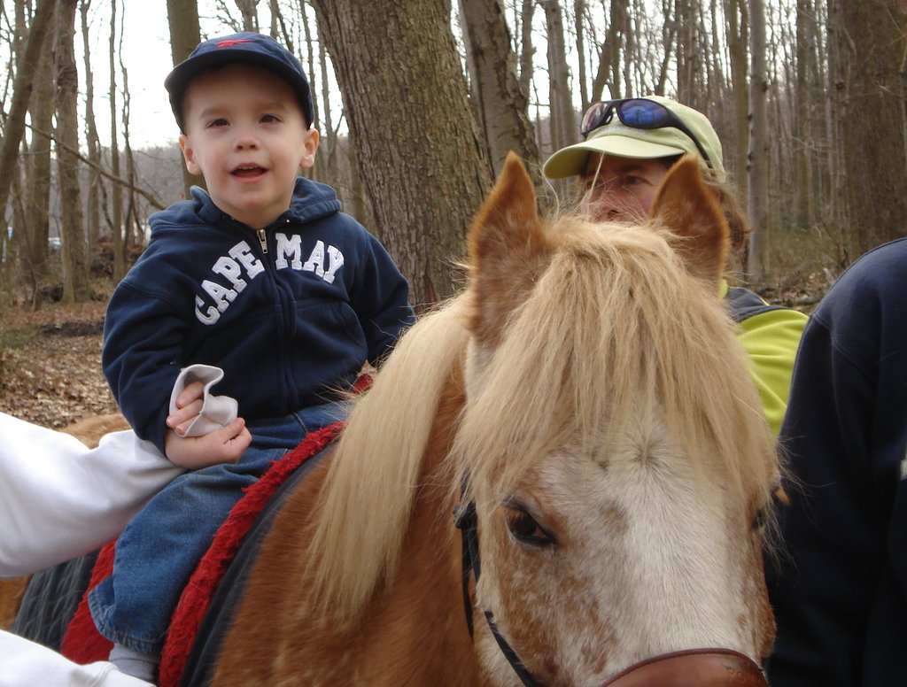 Help Horses and Therapists Change Lives in NJ