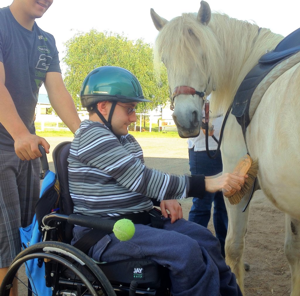 Help Horses and Therapists Change Lives in NJ