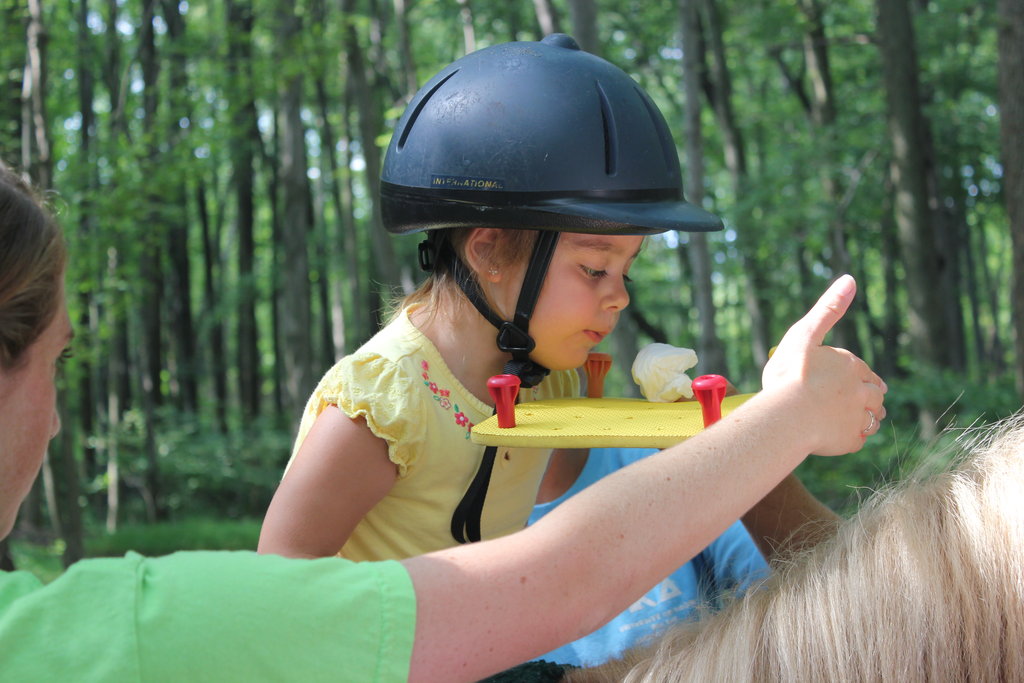 Help Horses and Therapists Change Lives in NJ