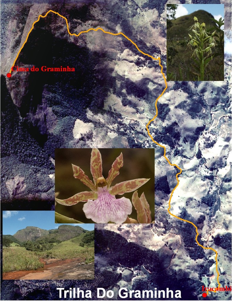 Iracambi I-GIS for the Atlantic Rainforest