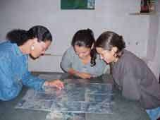 students studying aerial photos of forest cover