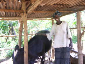 The first recipient with her new heifer