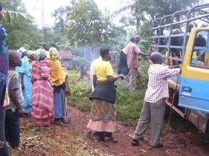 Offloading the cows: welcome to your new home!