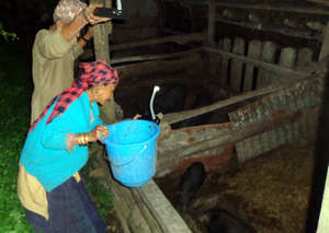 Family using Solar tuki for Economic Activitiy