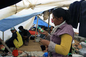 Chlorine solution distribution