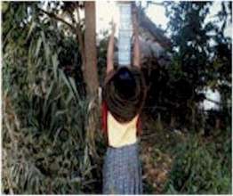 A Poster With Anti-Bonding Message