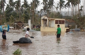 Typhoon Bopha Emergency Relief in the Philippines