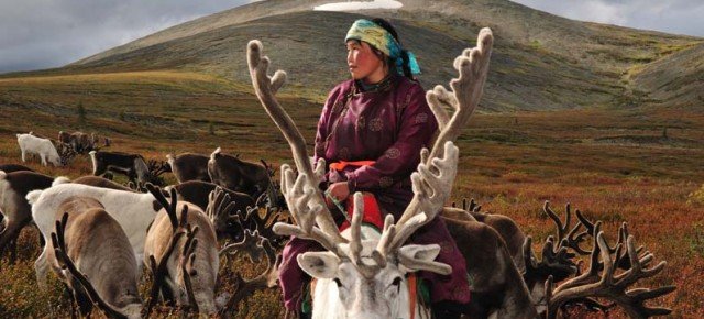 Mobile Teepee Library for the Tsataan Nomads