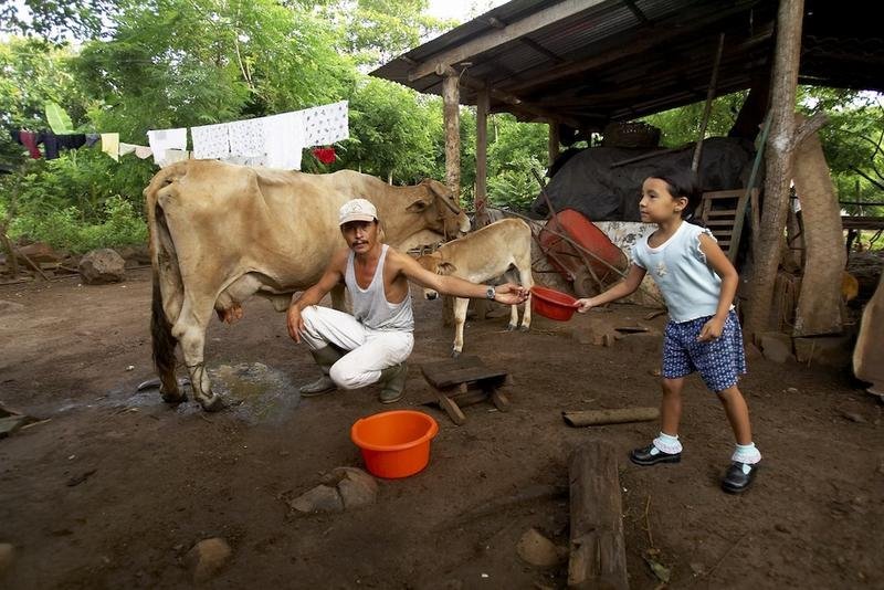 Support Sustainability for Latin American Farmers
