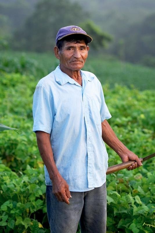 Support Sustainability for Latin American Farmers