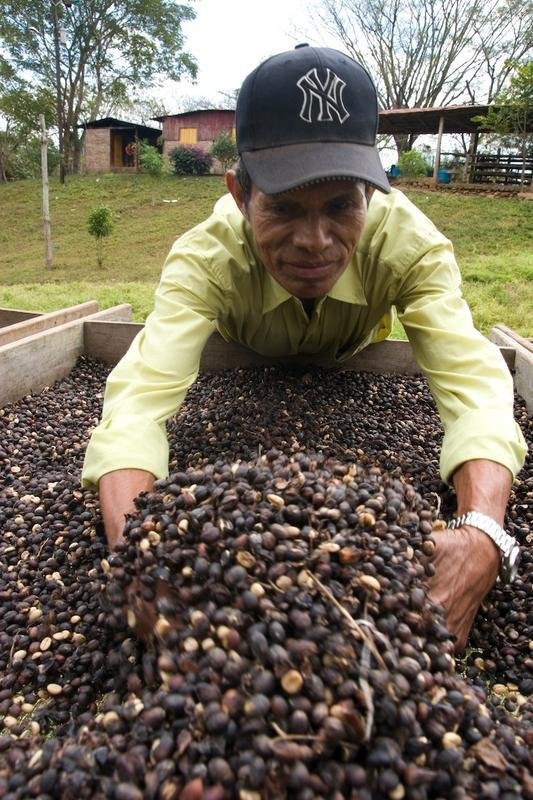 Support Sustainability for Latin American Farmers