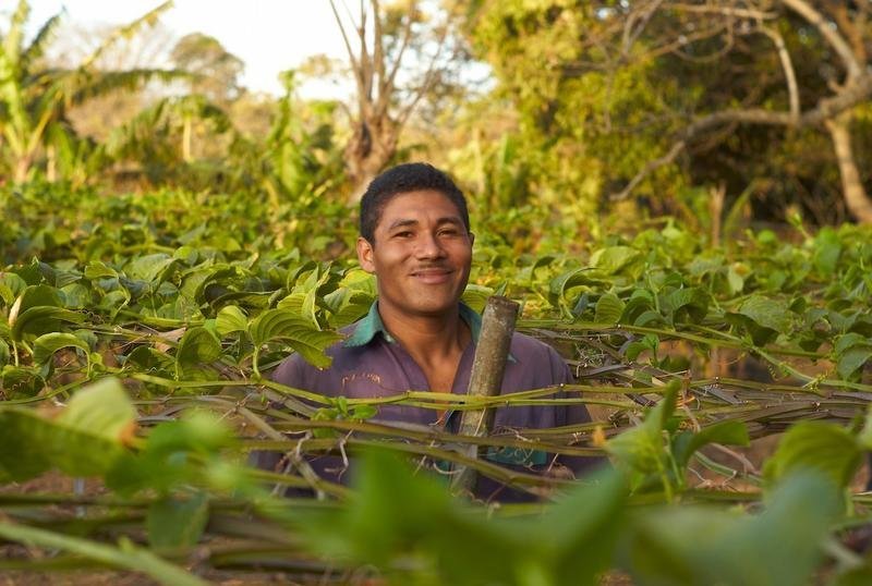 Support Sustainability for Latin American Farmers
