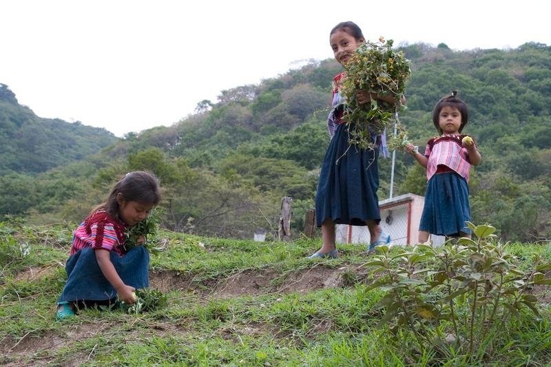Support Sustainability for Latin American Farmers