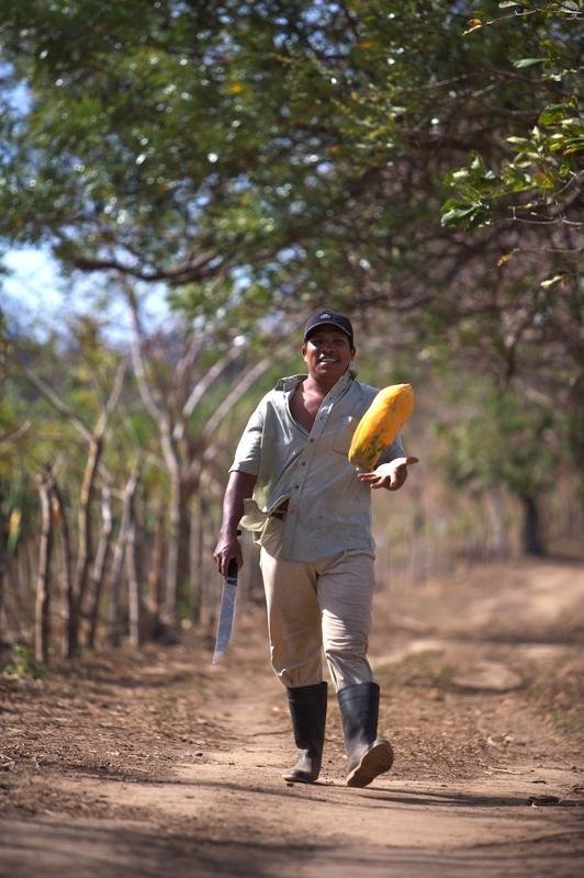 Support Sustainability for Latin American Farmers