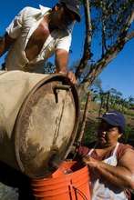 Watering Crops in Futuro, Nicaragua