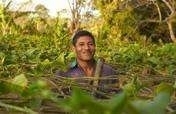 Support Sustainability for Latin American Farmers