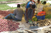 Onetime grant to start 50 vegetable & fruit vendor