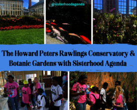 SisterCamp Field Trip