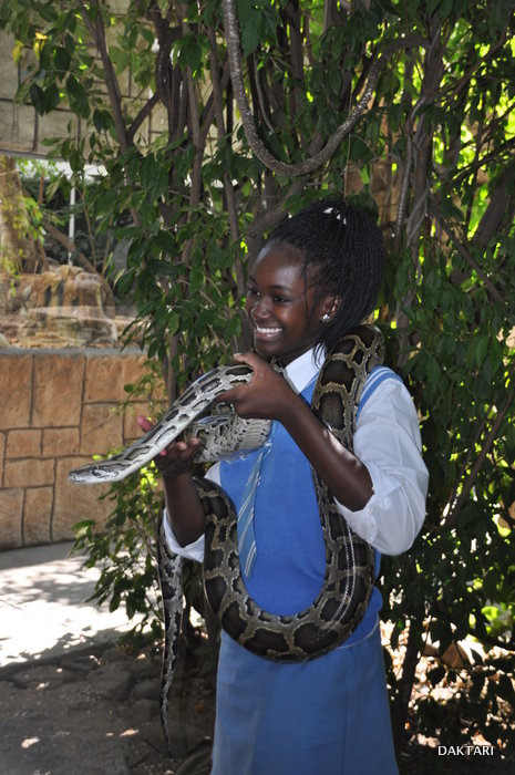 Help Grace to achieve her dreams.