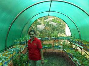 The new greenhouse helps with food security