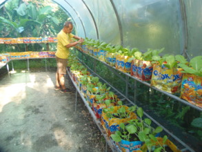 The plants come from the greenhouse you provided