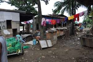 The community of North Libis