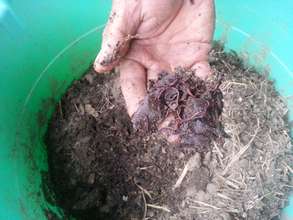 A good bucket of worms - a good start