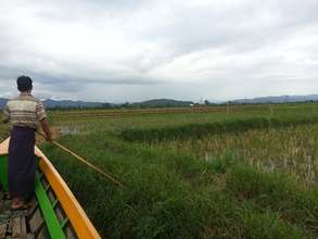 Improved crops; improved nutrition and heath
