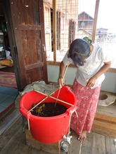 Maintaining the Worm Batch