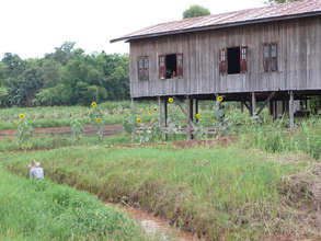 Lake House and Water-based Garden