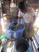 Worm Breeder Process