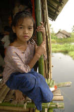 Need for Healthy Enviroment