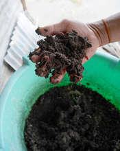 The Worms Produce Rich Fertilizer
