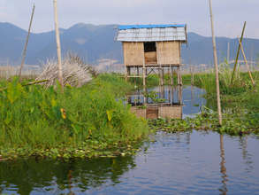 The Result is a Heathy Lake and Healthy Food