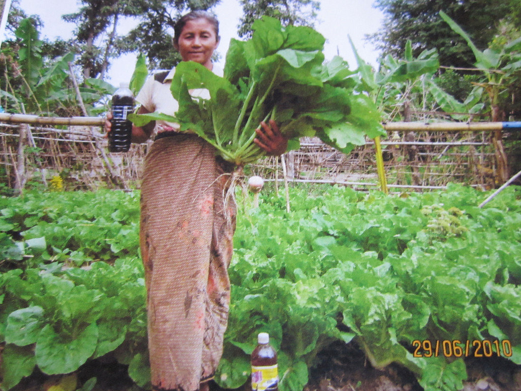Help Environmental Farming in Myanmar