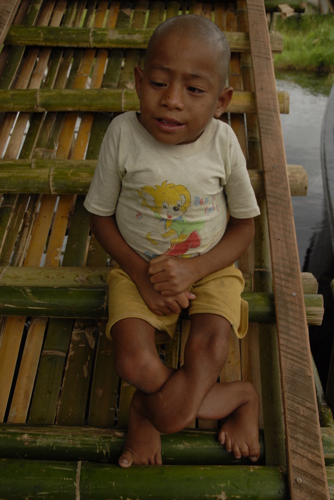 Help Environmental Farming in Myanmar